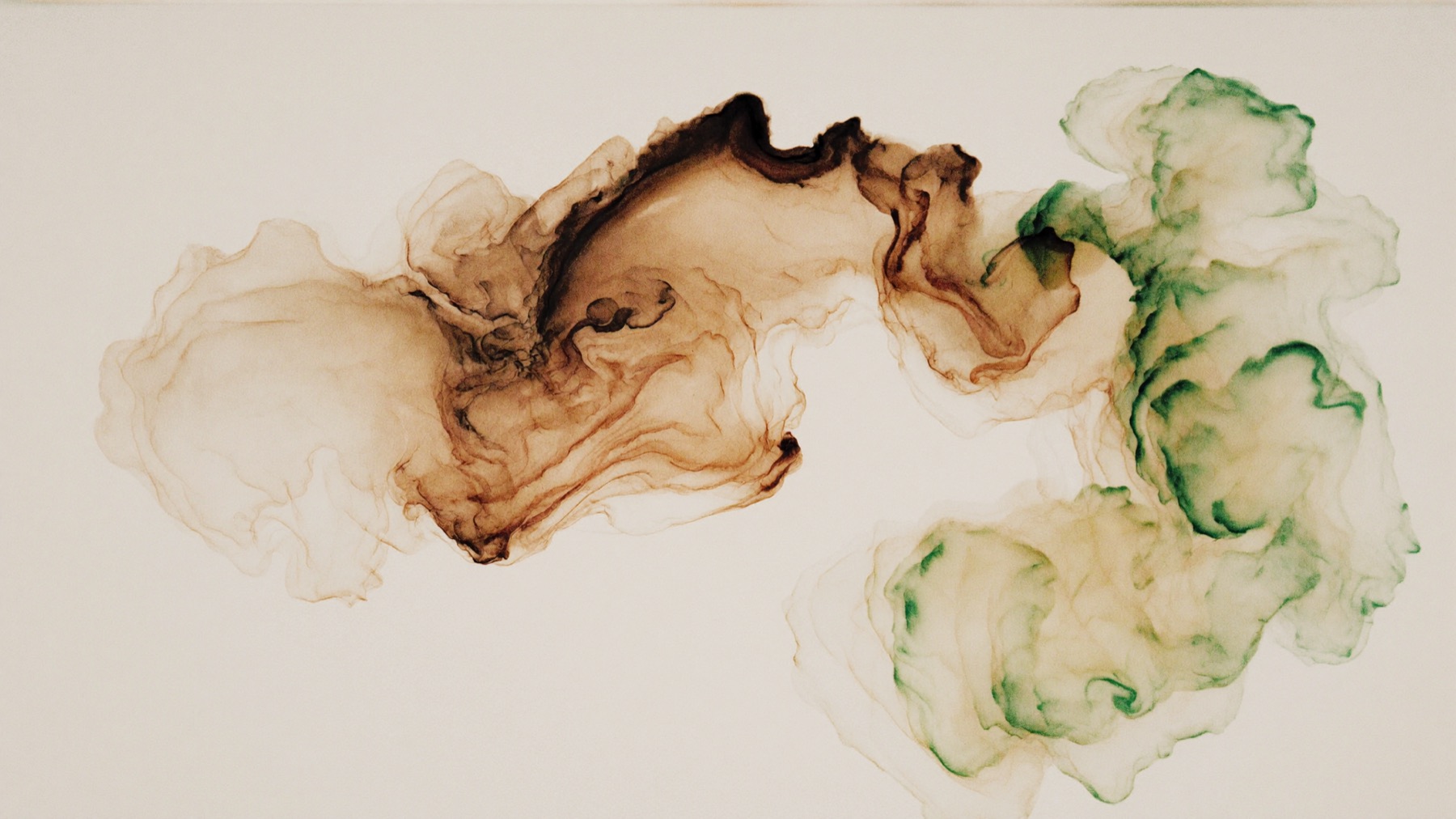 Encre diffusée dans l'eau, image de la circulation énergétique